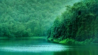 绵竹·剑南春森林公园拓展培训基地