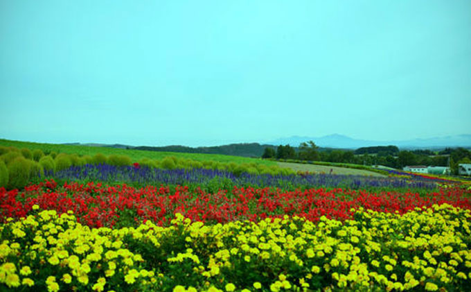 德阳·花随风飘基地